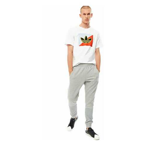 Спортивные брюки мужские adidas Originals FM3916 серые L в Мотиви